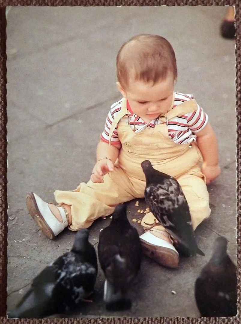 Открытка. Ребенок с голубями. Дети. Венгрия. 1980-е годы