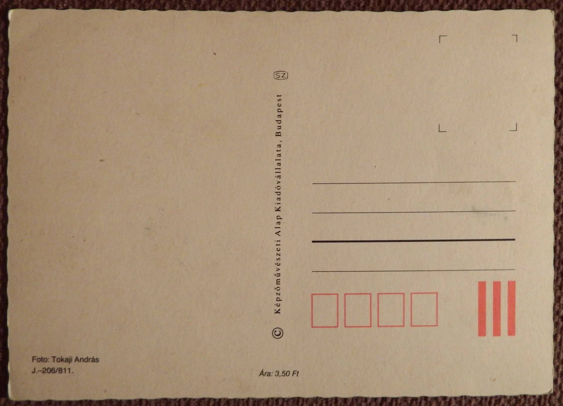 Открытка. Ребенок с голубями. Дети. Венгрия. 1980-е годы - миниатюра 2