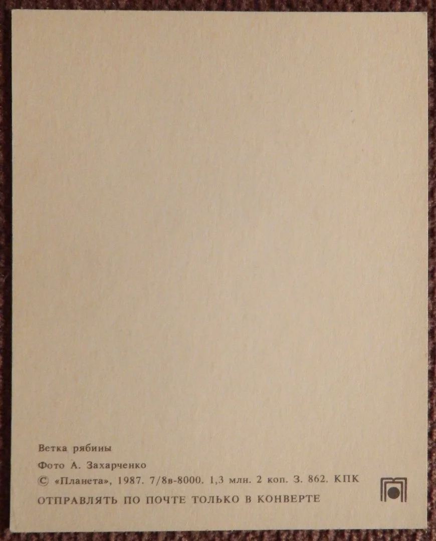 Мини-открытка. Ветка рябины. Рябина. 1987 год - миниатюра 2