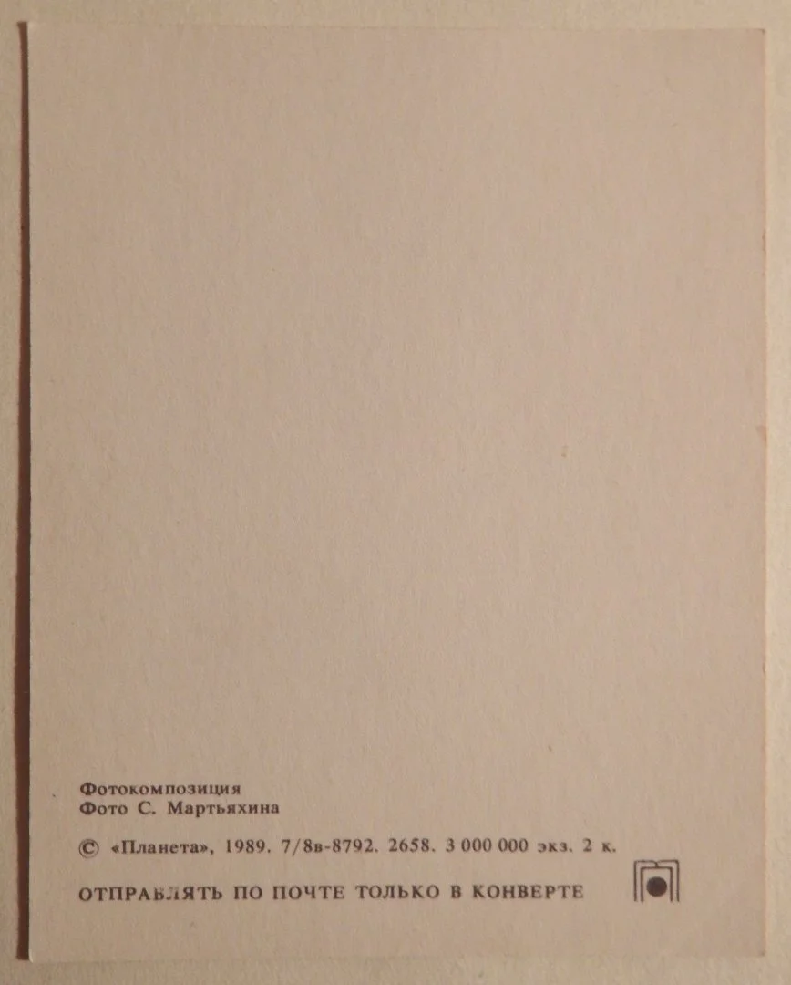 Мини-открытка. Цветочная композиция. Гвоздики. Цветы. 1989 год - миниатюра 2