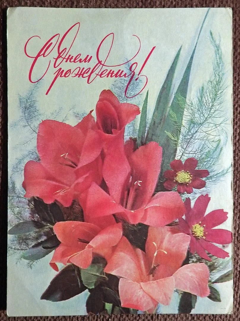 Открытка. Дергилев. С днем рождения. Гладиолусы. Цветы. 1977 год