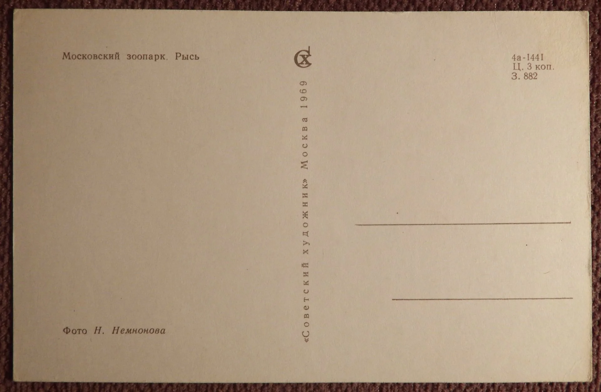 Открытка. Рысь. Московский зоопарк. 1969 год - миниатюра 2
