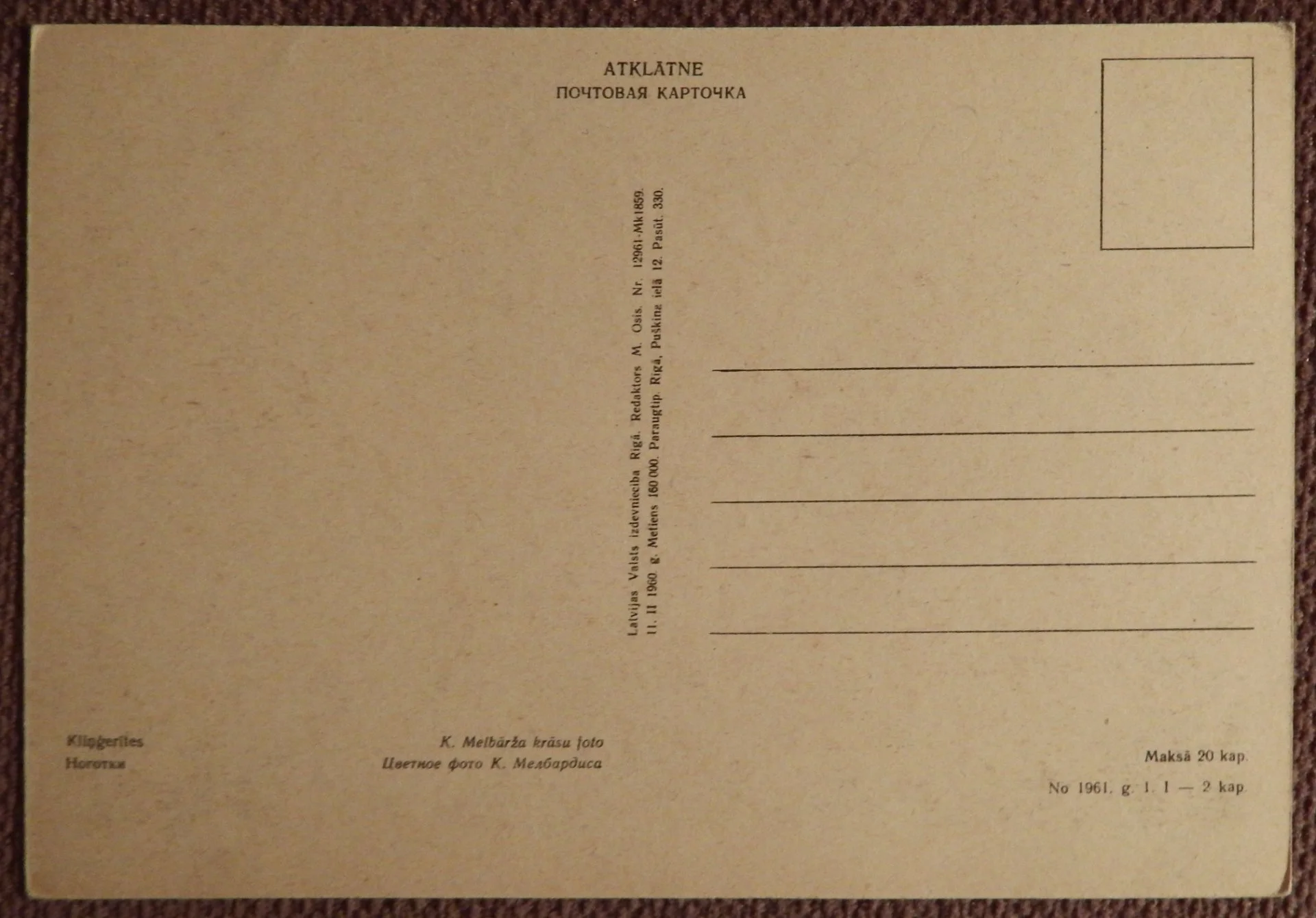 Открытка. Календула. Ноготки. Цветы. 1960 год - миниатюра 2
