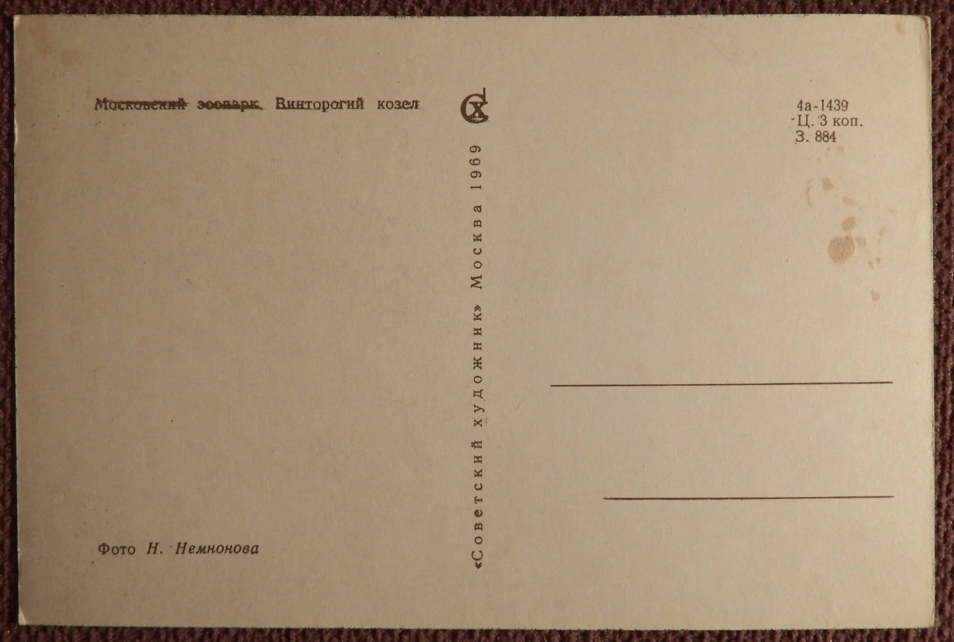 Открытка. Винторогий козел. Московский зоопарк. 1969 год - миниатюра 2