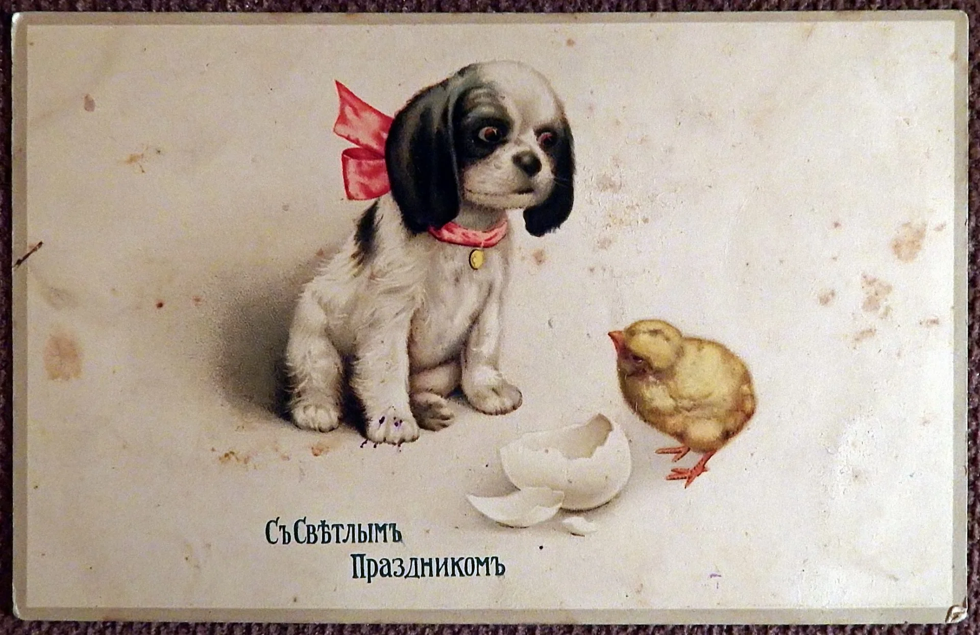 Антикварная открытка. С Светлым Праздником. Пасха. Собака. Цыпленок - изображение 1