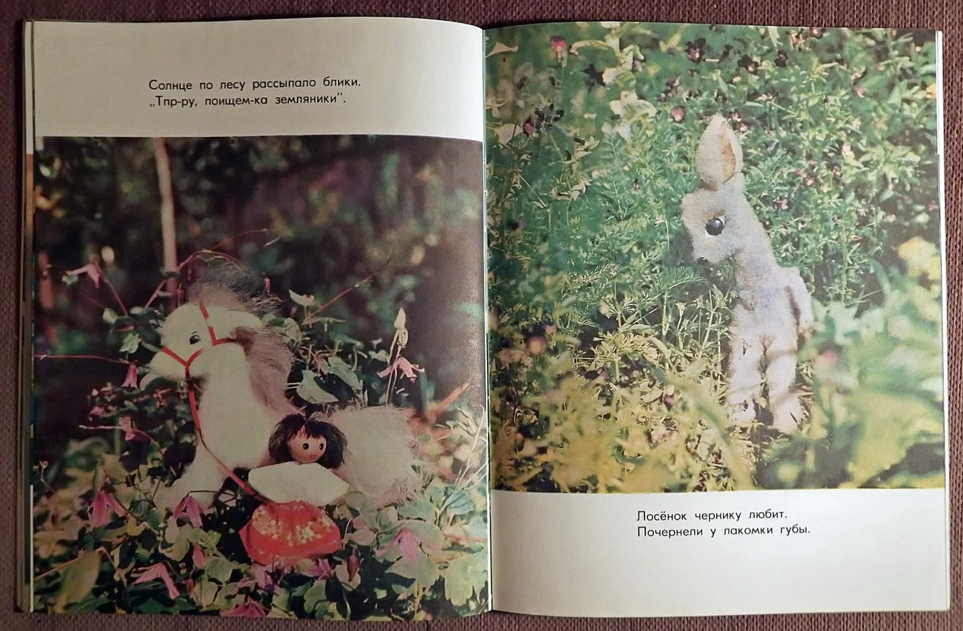 Книга. С. Самулявичене. Озорники. 1979 год - миниатюра 5