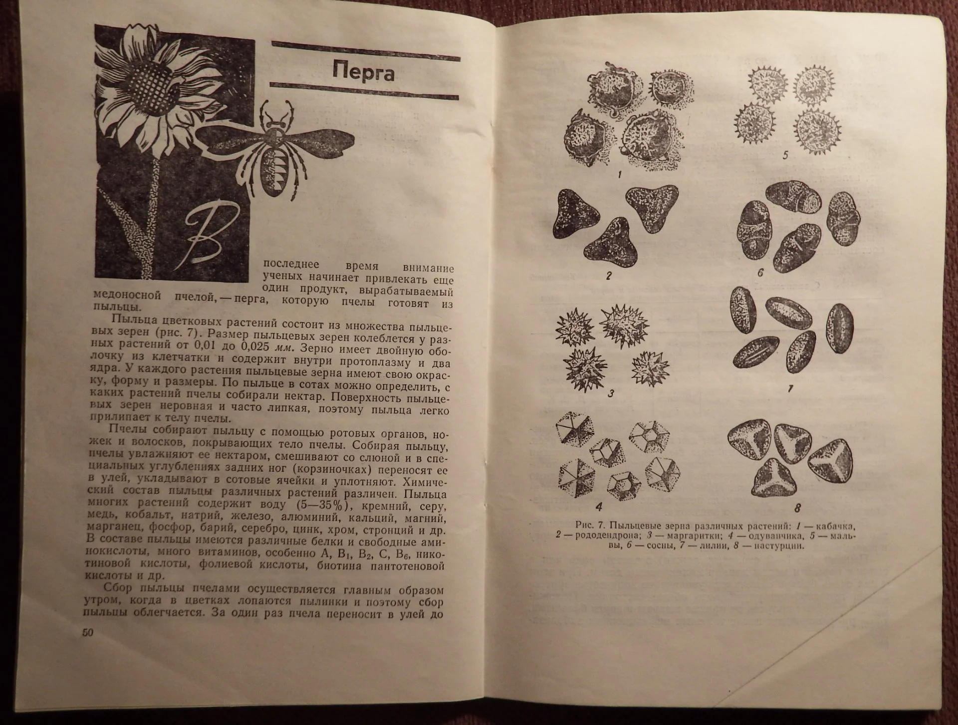 Книга. К. Кузьмина. Лечение пчелиным медом и ядом. 1973 год - миниатюра 3