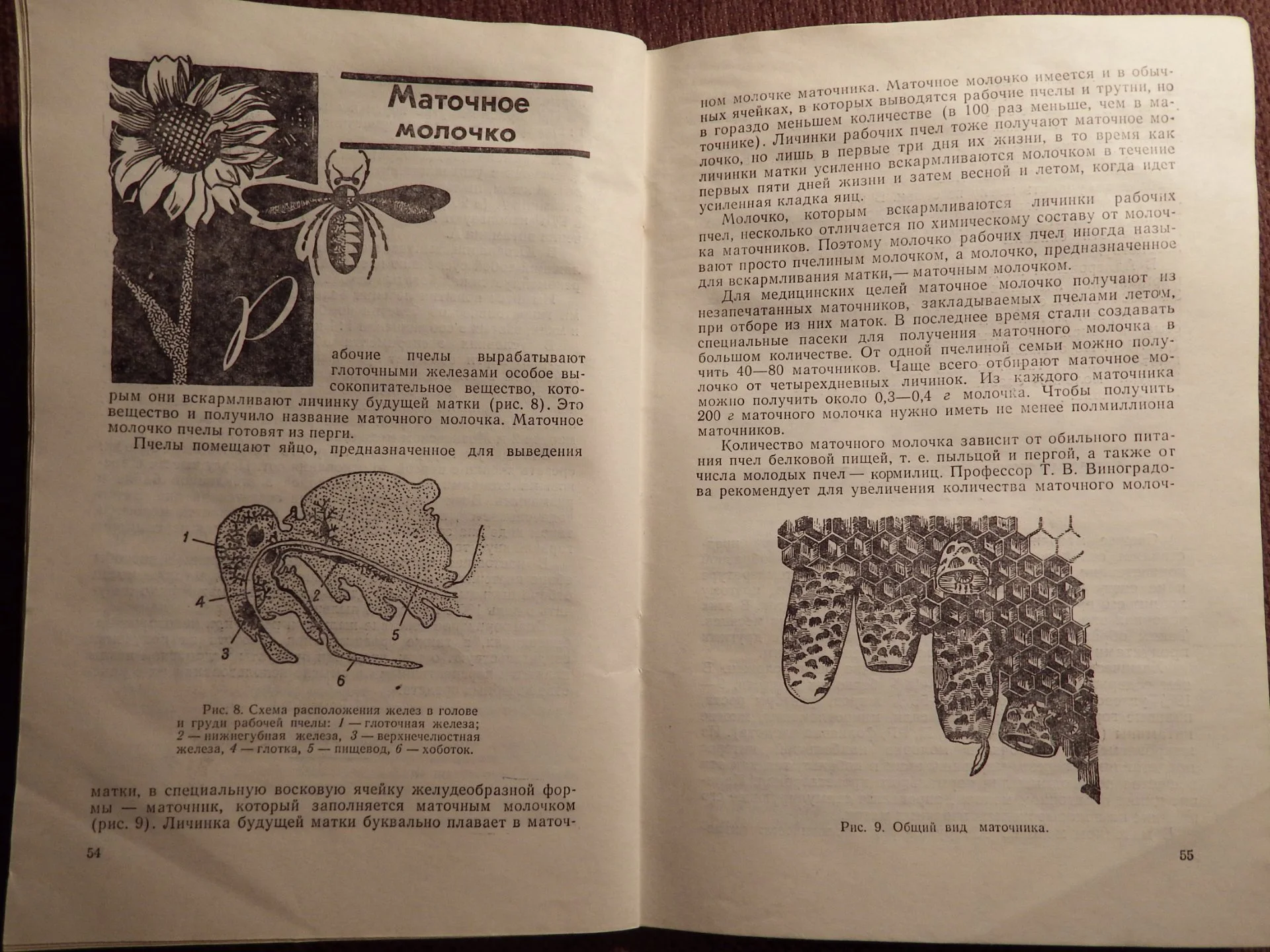 Книга. К. Кузьмина. Лечение пчелиным медом и ядом. 1973 год - миниатюра 4