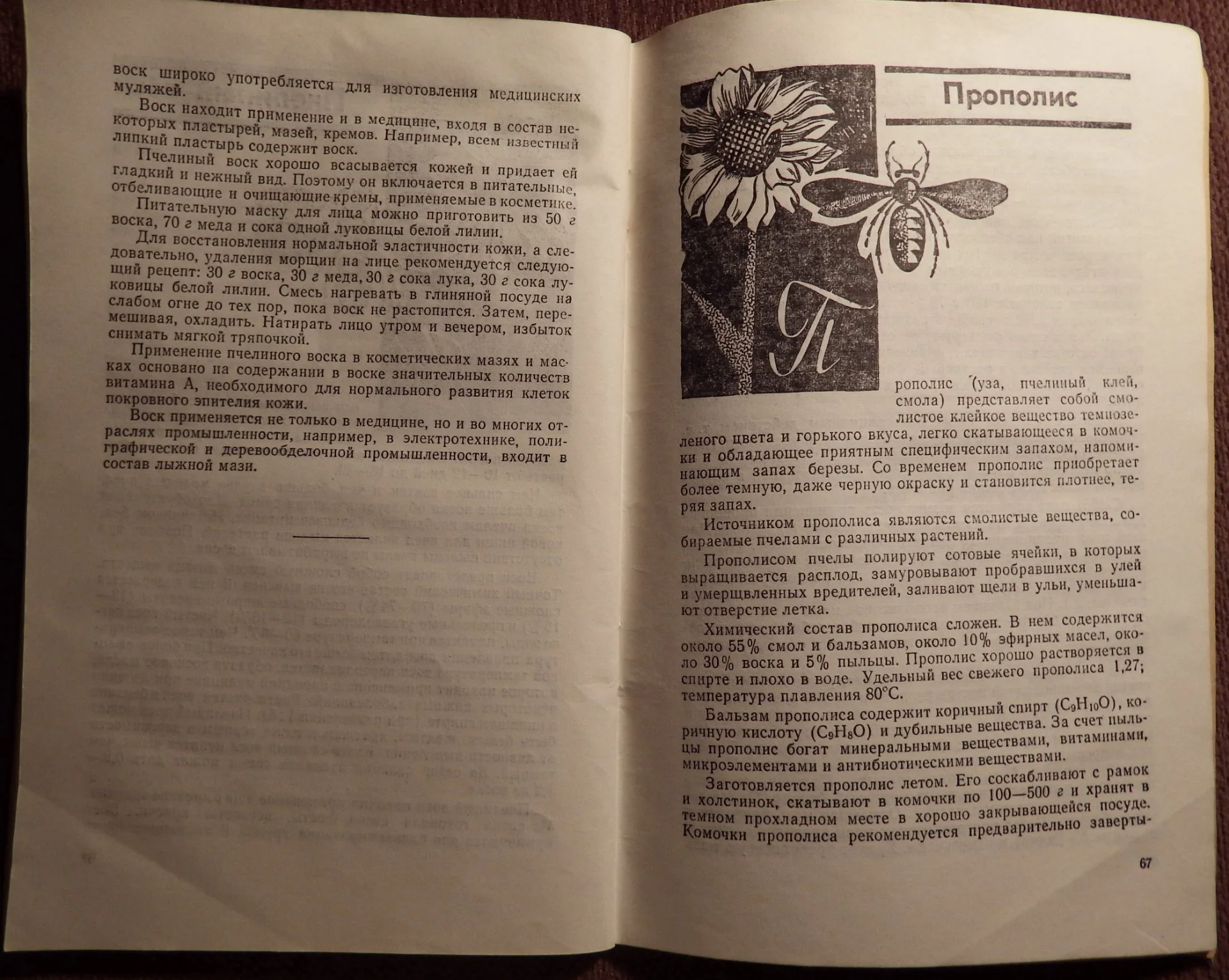 Книга. К. Кузьмина. Лечение пчелиным медом и ядом. 1973 год - миниатюра 5