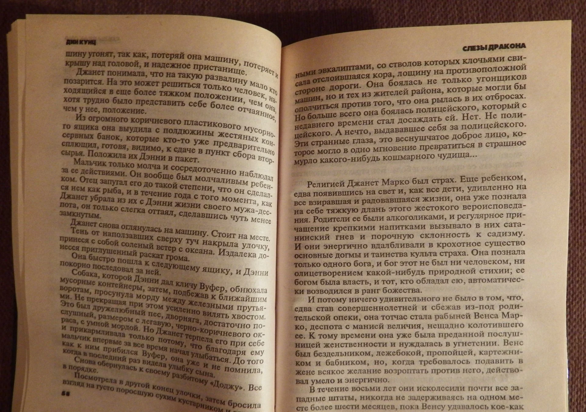 Книга. Дин Кунц. Слезы дракона. 1998 год - миниатюра 3