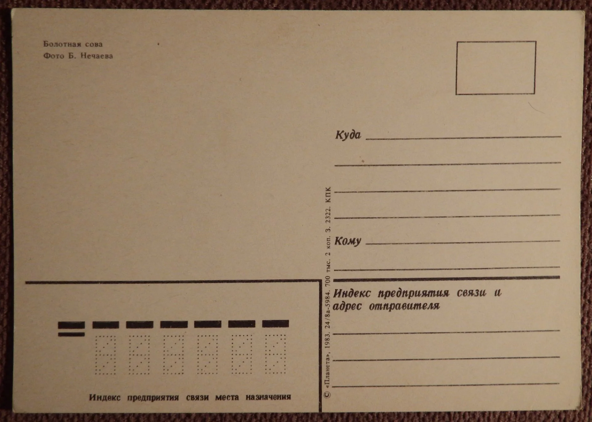 Открытка. Болотная сова. 1983 год - миниатюра 2
