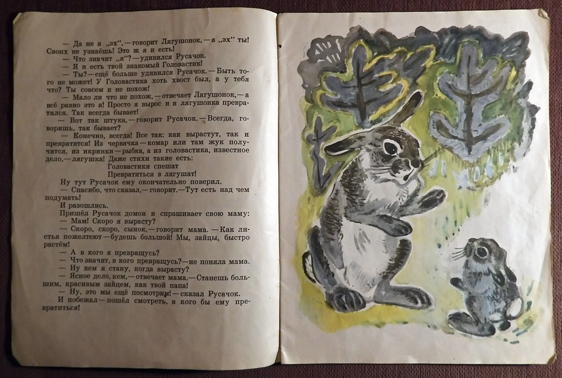 Книга. Б. Заходер. Русачок. 1975 год - миниатюра 2