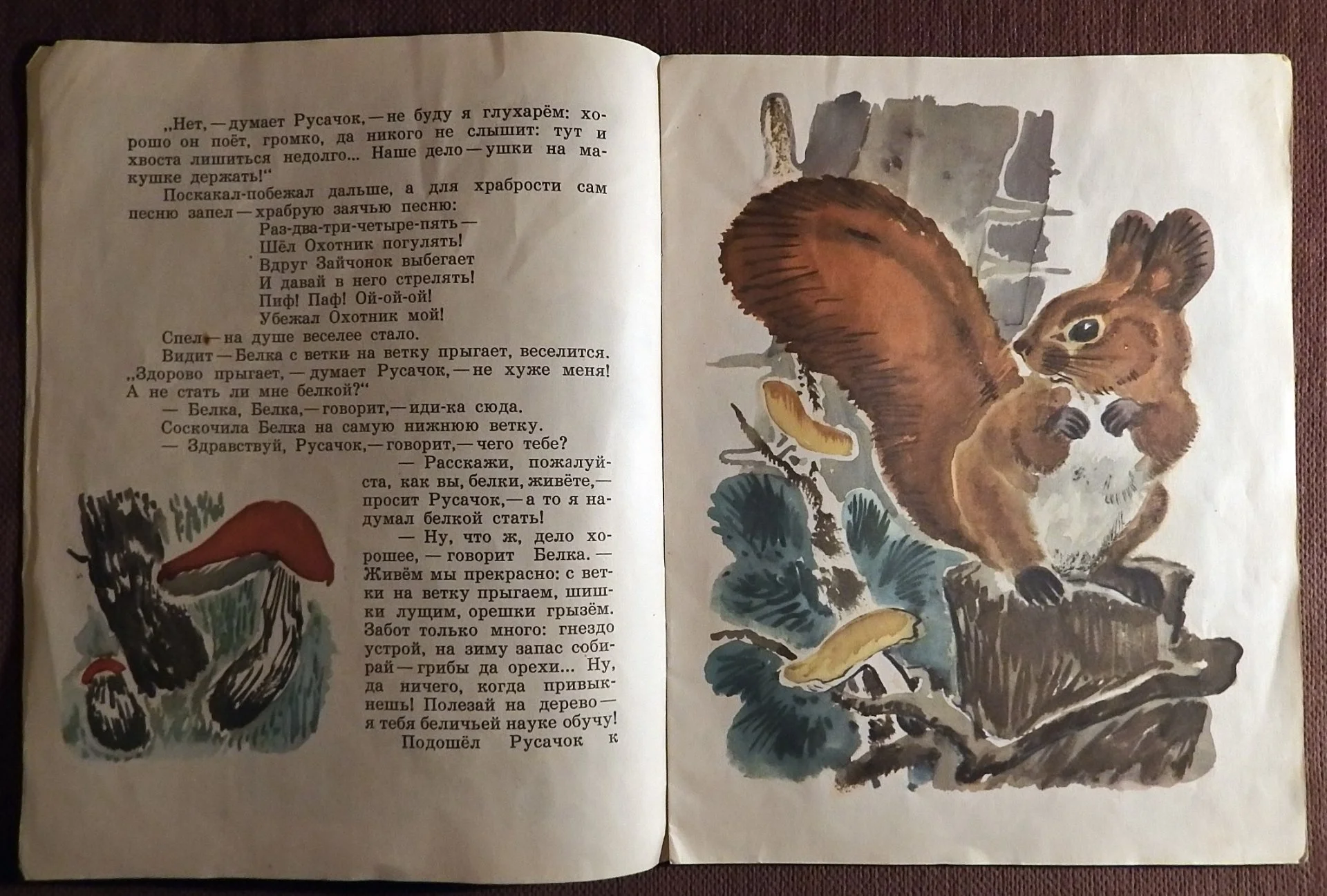 Книга. Б. Заходер. Русачок. 1975 год - миниатюра 3