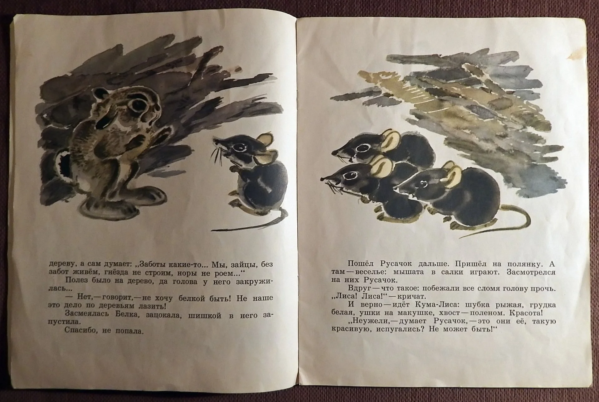 Книга. Б. Заходер. Русачок. 1975 год - миниатюра 4