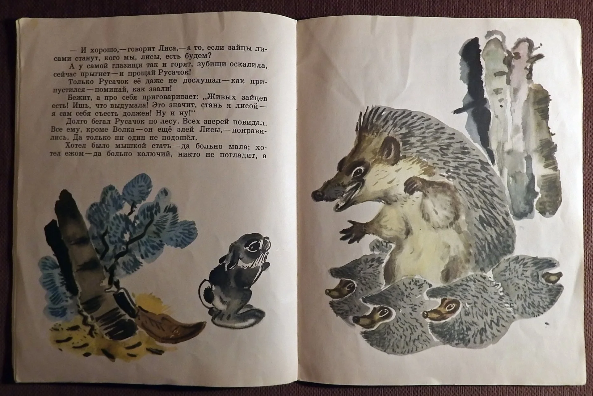 Книга. Б. Заходер. Русачок. 1975 год - миниатюра 5