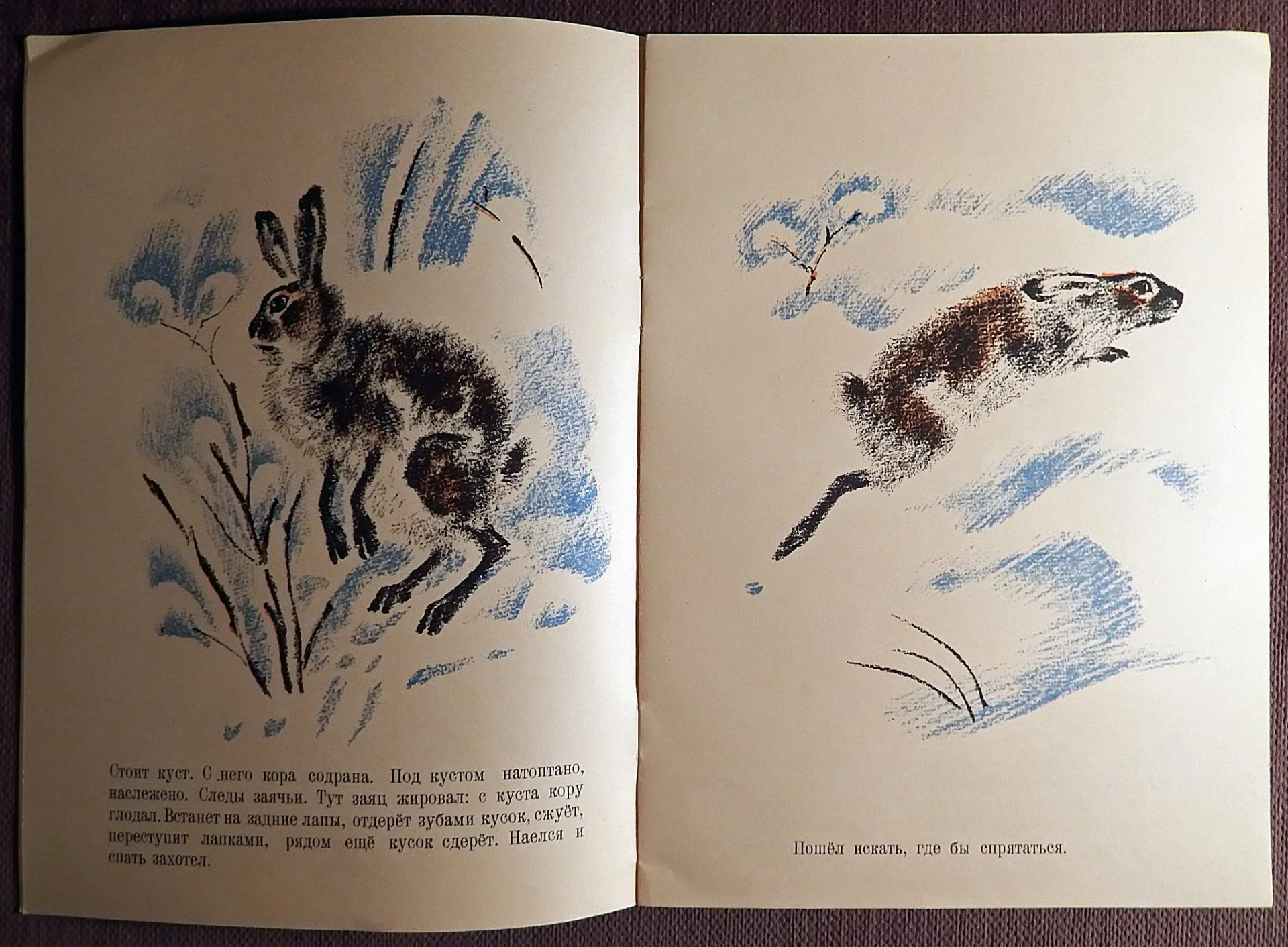 Книга. В. Бианки. Снежная книга. 1981 год - миниатюра 2