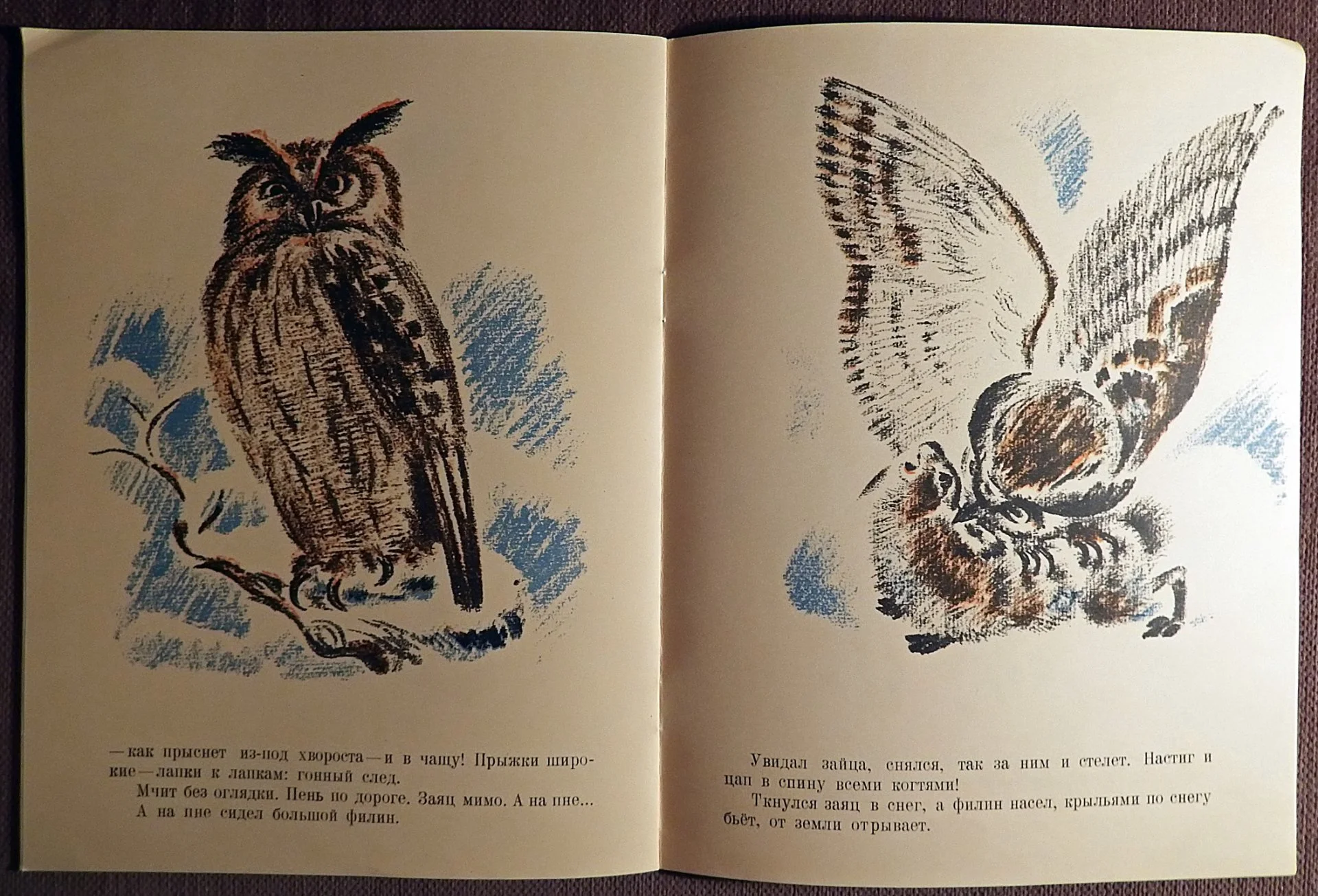 Книга. В. Бианки. Снежная книга. 1981 год - миниатюра 5