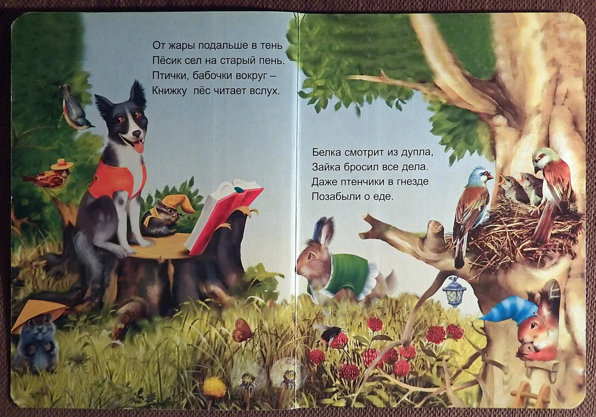 Книга. Н. Сапотницкая. Путешествие щенка. 2005 год - миниатюра 2