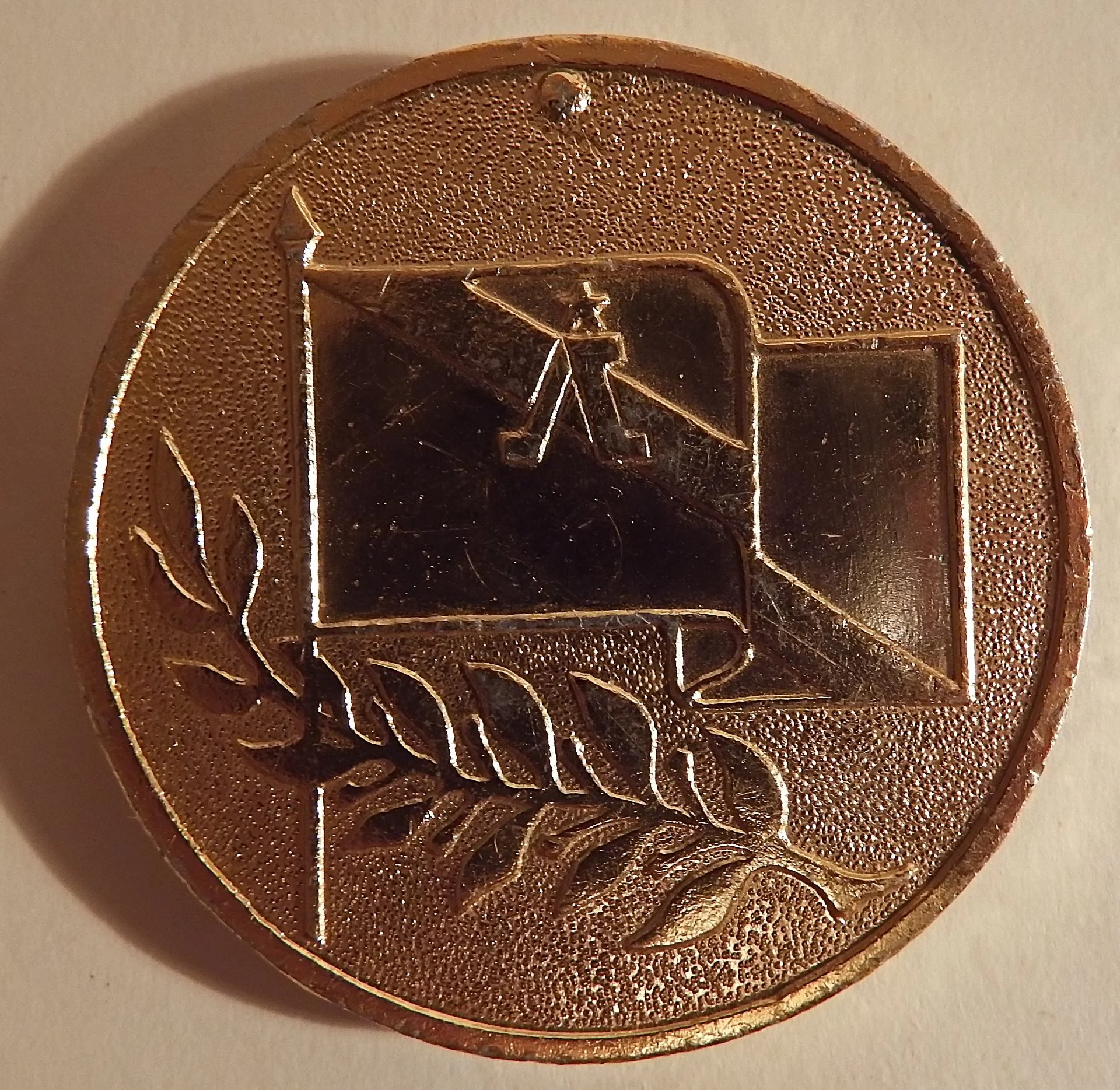 Медаль. Спортивные игры молодежи. Ленинград. 1973 год. СССР - миниатюра 2