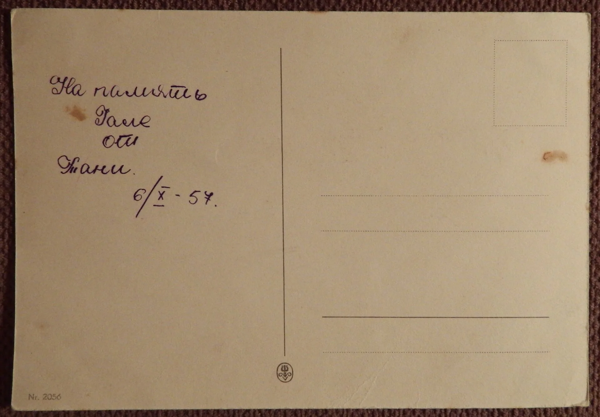 Открытка. Хризантема. Цветы. 1950-е годы - миниатюра 2