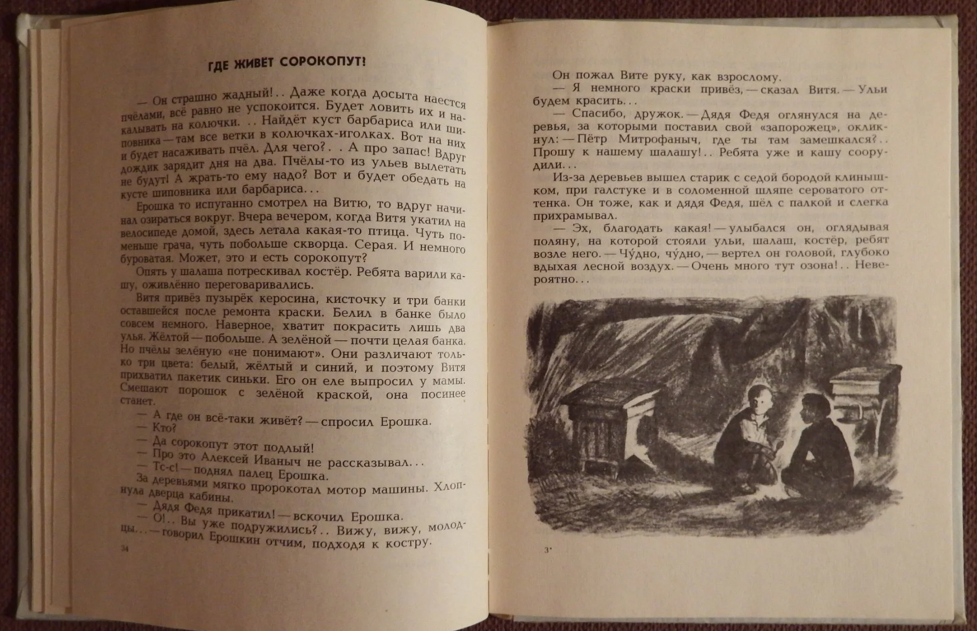 Книга. Л. Семин. Где живет сорокопут? 1979 год - миниатюра 3