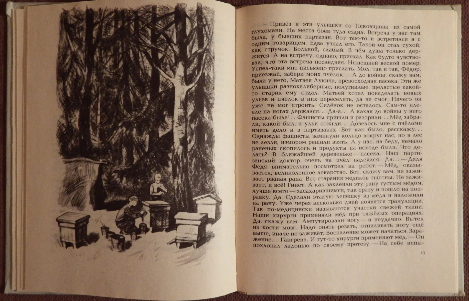 Книга. Л. Семин. Где живет сорокопут? 1979 год - миниатюра 4