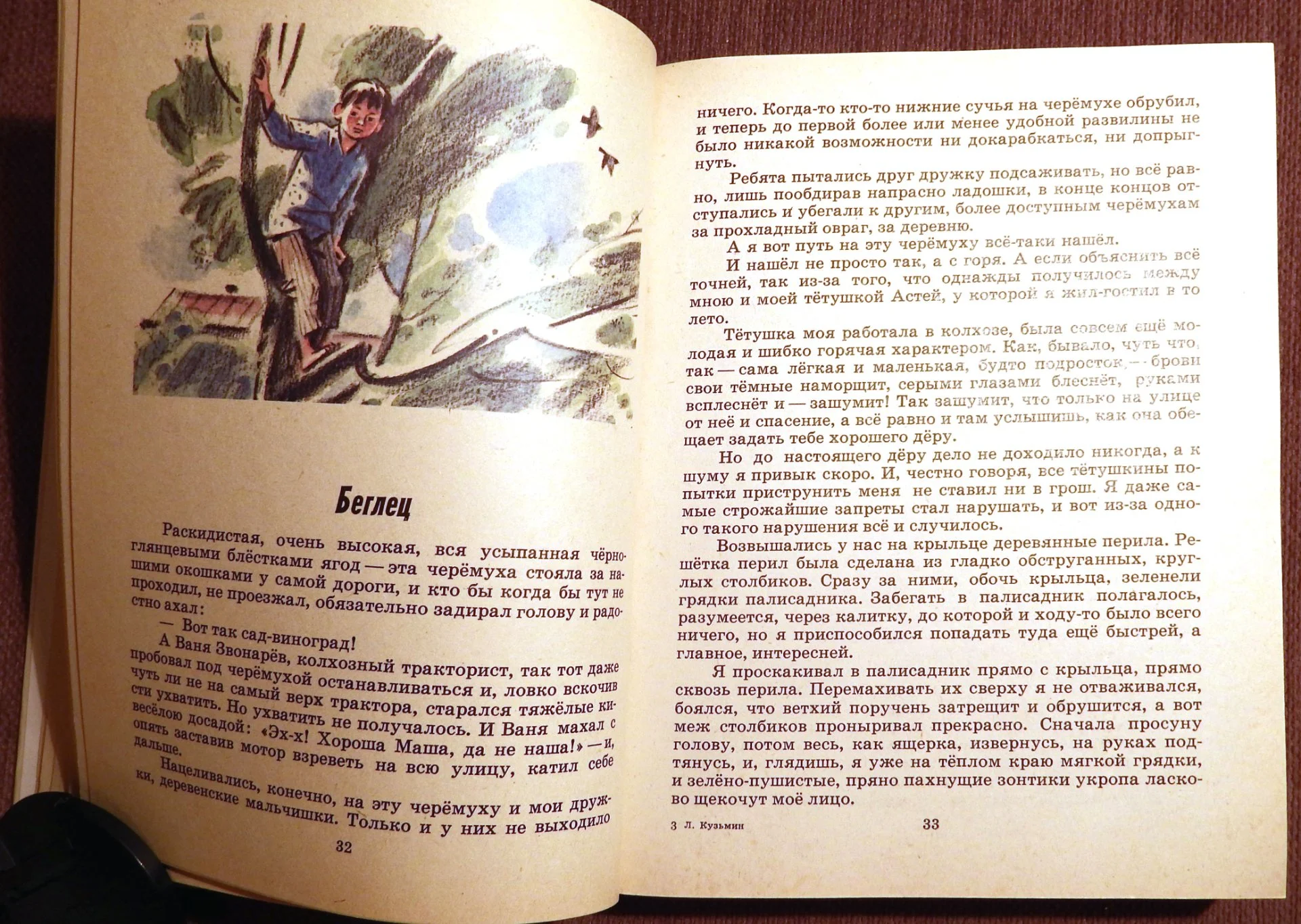 Книга. Л. Кузьмин. Под теплым небом. 1987 год - миниатюра 4