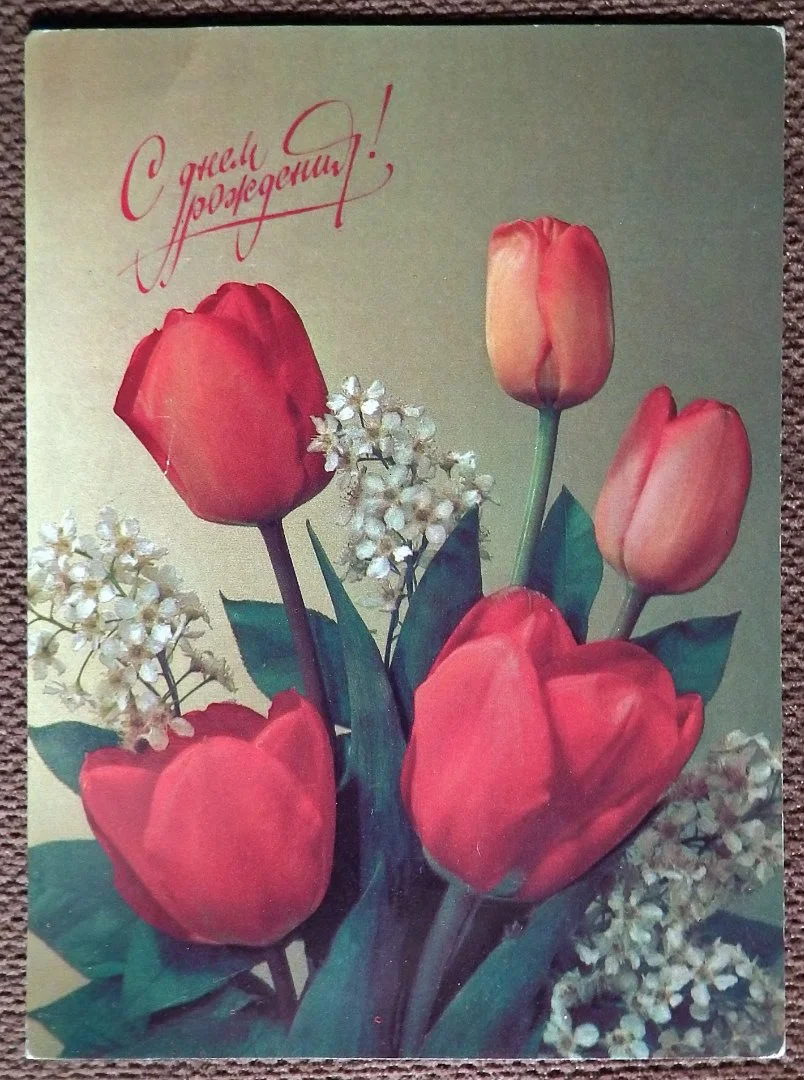 Открытка. С днем рождения. Тюльпаны. Цветы. 1991 год - изображение 1