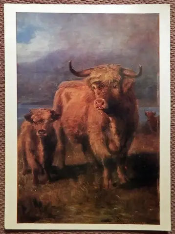 Открытка. Д. Адам. На шотландских пастбищах. 1980-е годы