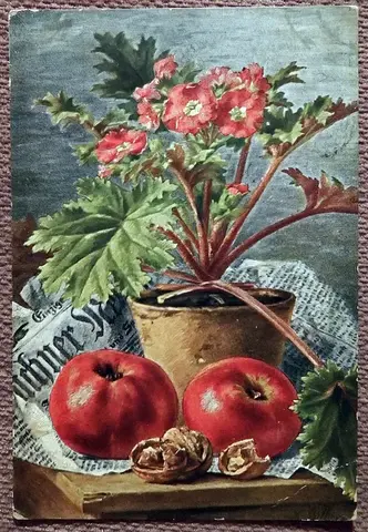 Антикварная открытка. Натюрморт. Цветы. Яблоки. Орехи