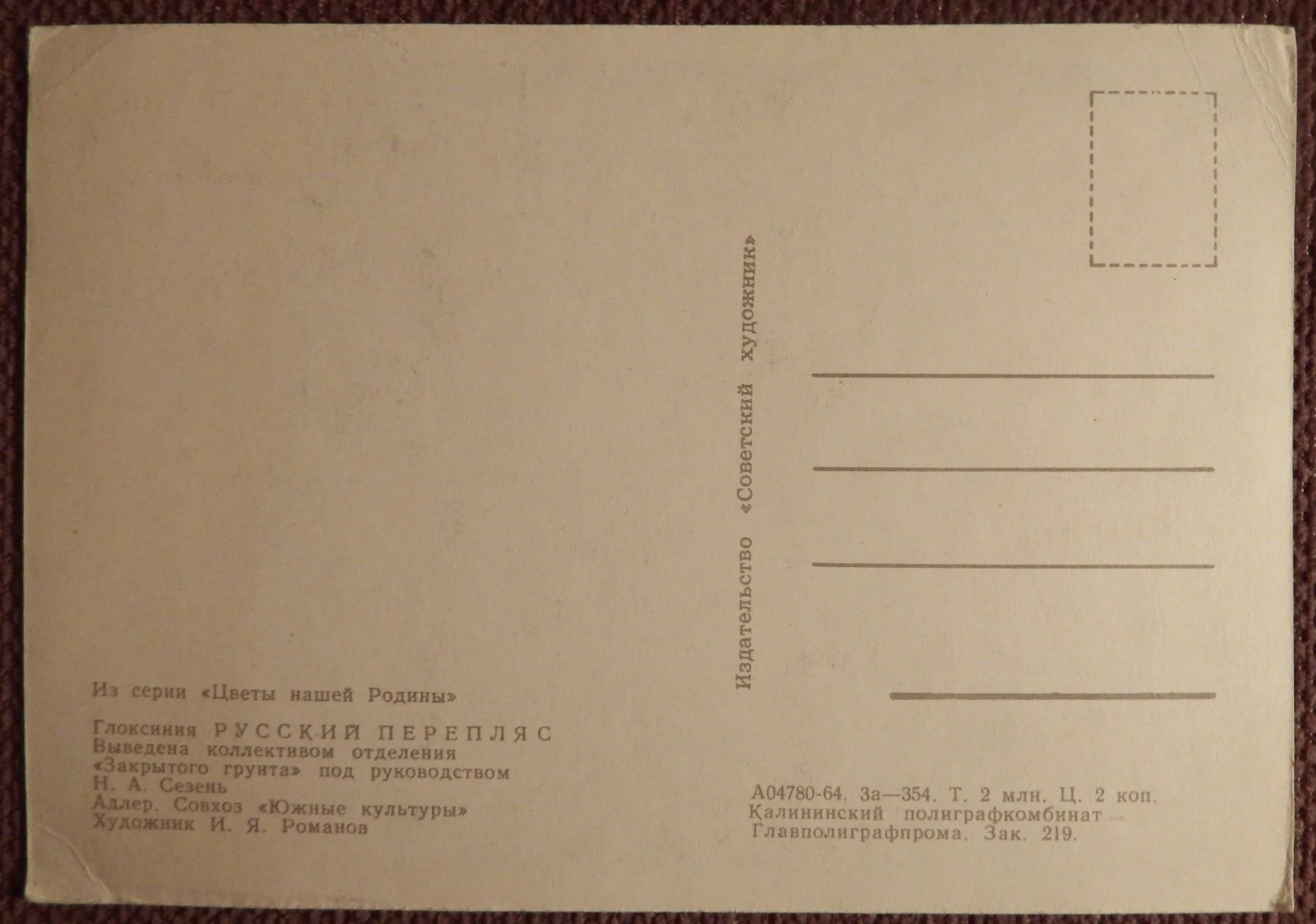 Открытка. Худ. Романов. Глоксиния Русский перепляс. Цветы. 1964 год - миниатюра 2