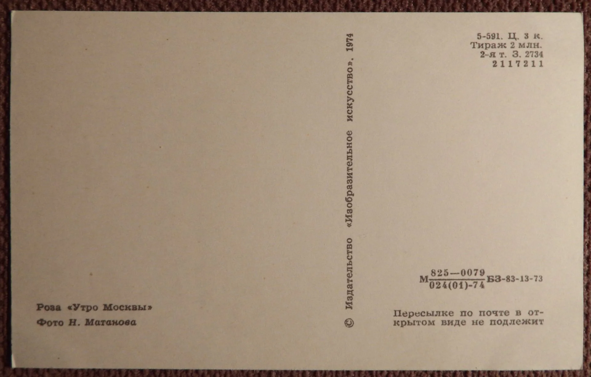 Открытка. Роза. Сорт Утро Москвы. Цветы. 1974 год - миниатюра 2