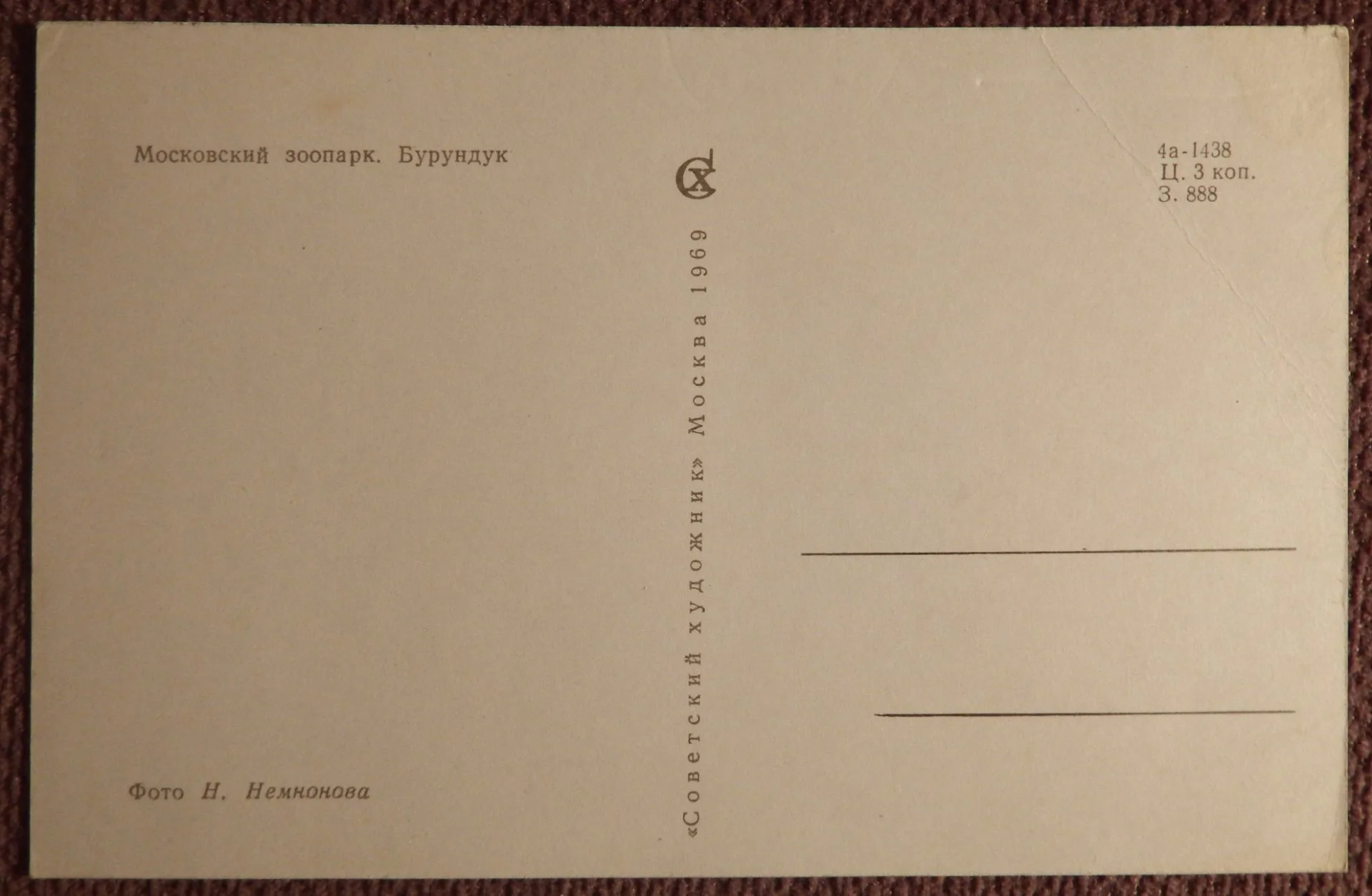 Открытка. Бурундук. Московский зоопарк. 1969 год - миниатюра 2