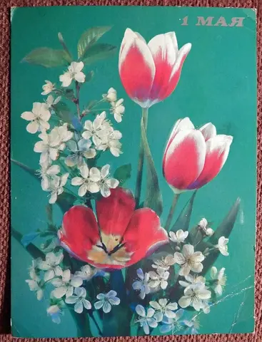 Открытка. 1 мая. Тюльпаны. Цветы. 1990 год