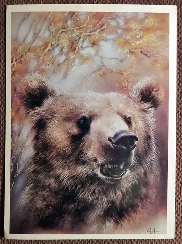 Открытка. Худ. Исаков. Медведь. 1989 год