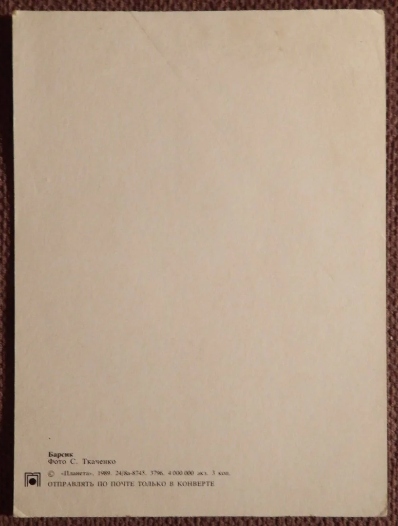 Открытка. Кот Барсик. 1989 год - миниатюра 2