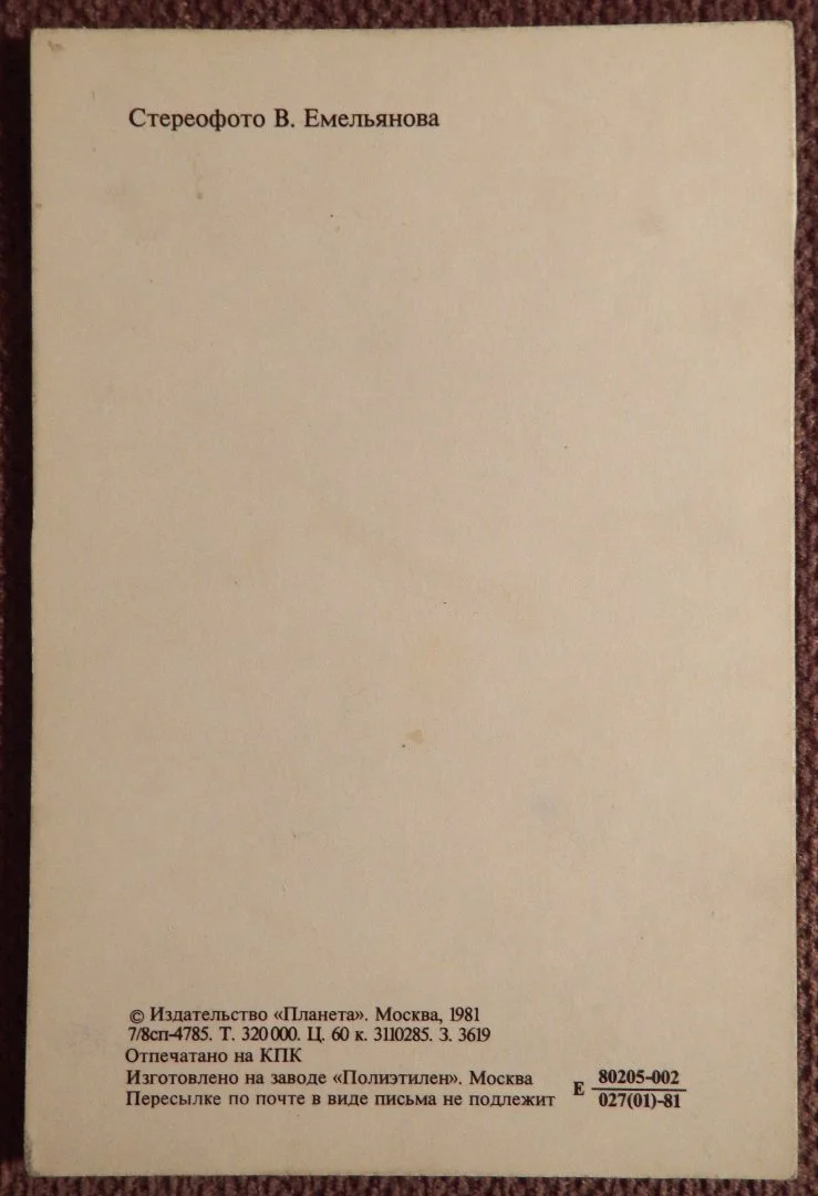 Стерео-открытка. Поздравляю. Нарциссы, гвоздики. Цветы. 1981 год - миниатюра 2