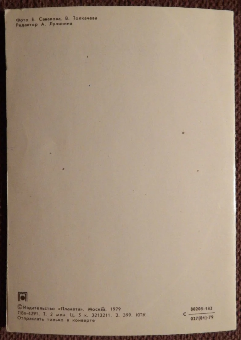 Двойная открытка. Савалова. Толкачев. С новосельем. Куклы. 1979 год - миниатюра 3
