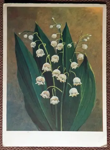 Открытка. Худ. Ряховский. Ландыши. 1976 год
