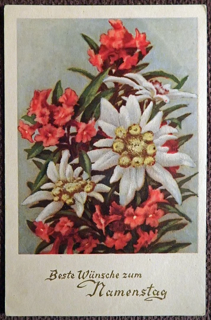 Открытка. Наилучшие пожелания на именины. Цветы. Германия. 1940-50-е годы - изображение 1