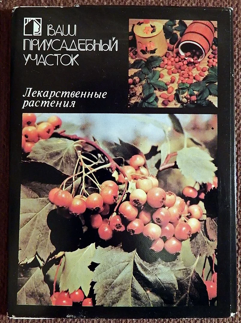 Набор открыток. Ваш приусадебный участок. Лекарственные растения. 1988 год - изображение 1