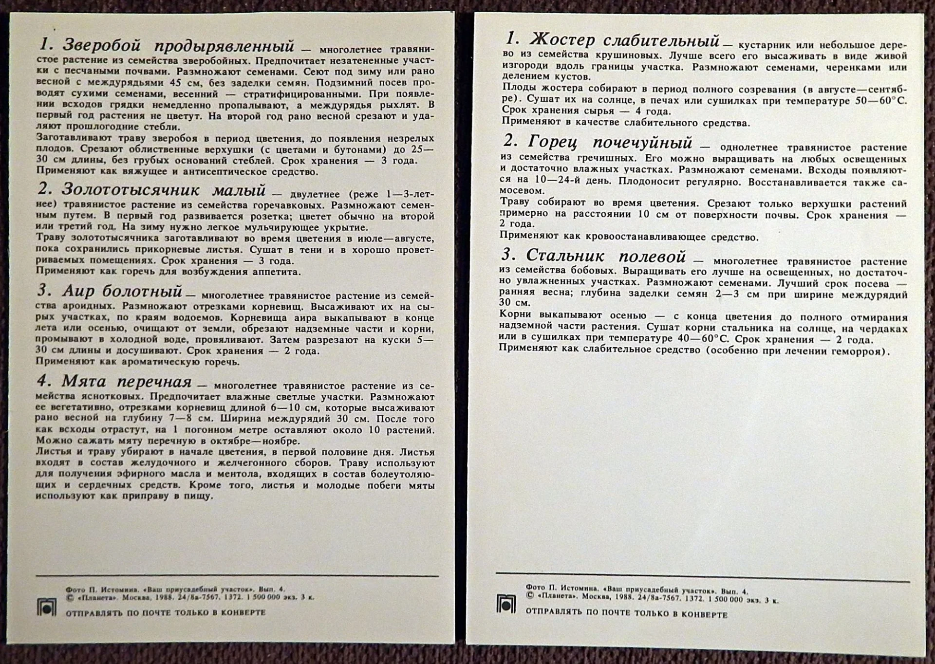 Набор открыток. Ваш приусадебный участок. Лекарственные растения. 1988 год - миниатюра 4