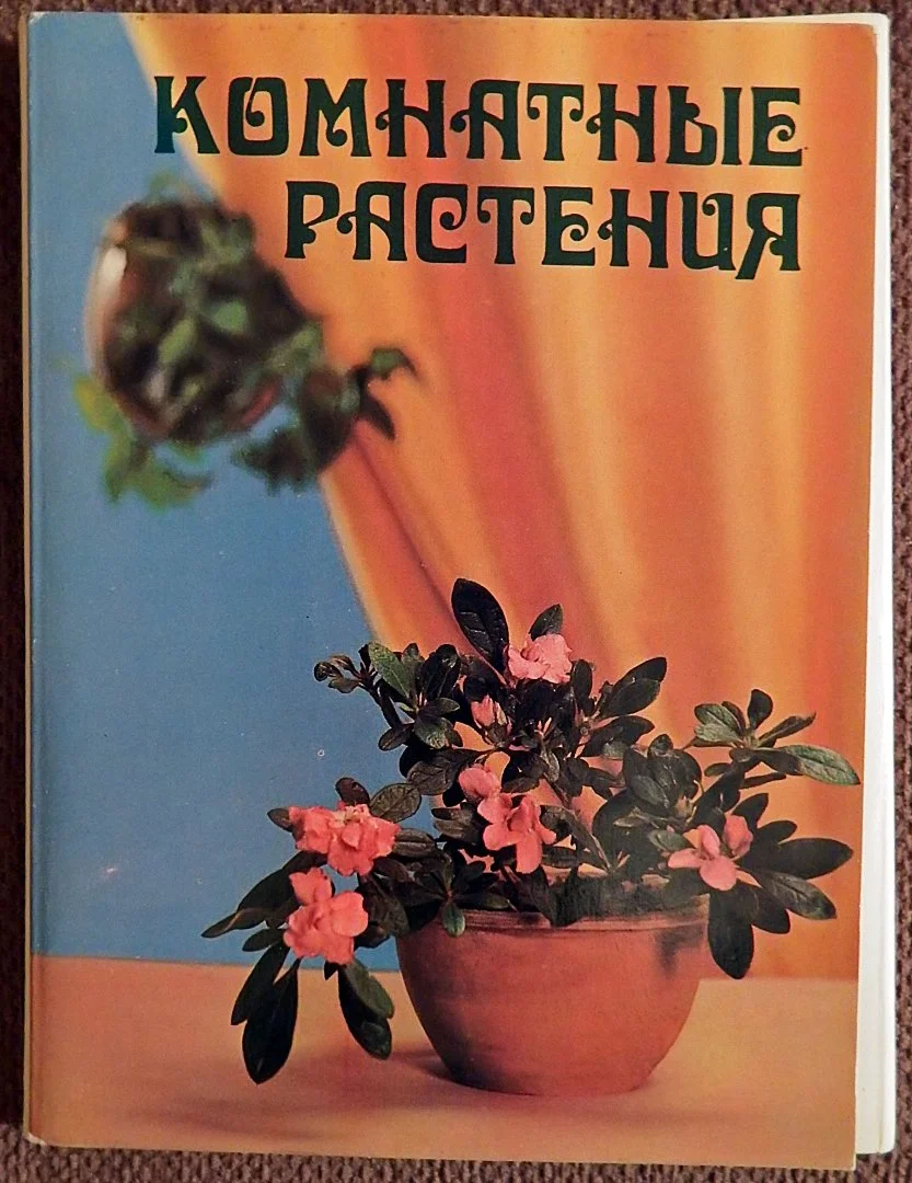 Набор открыток. Комнатные растения. 1983 год - изображение 1