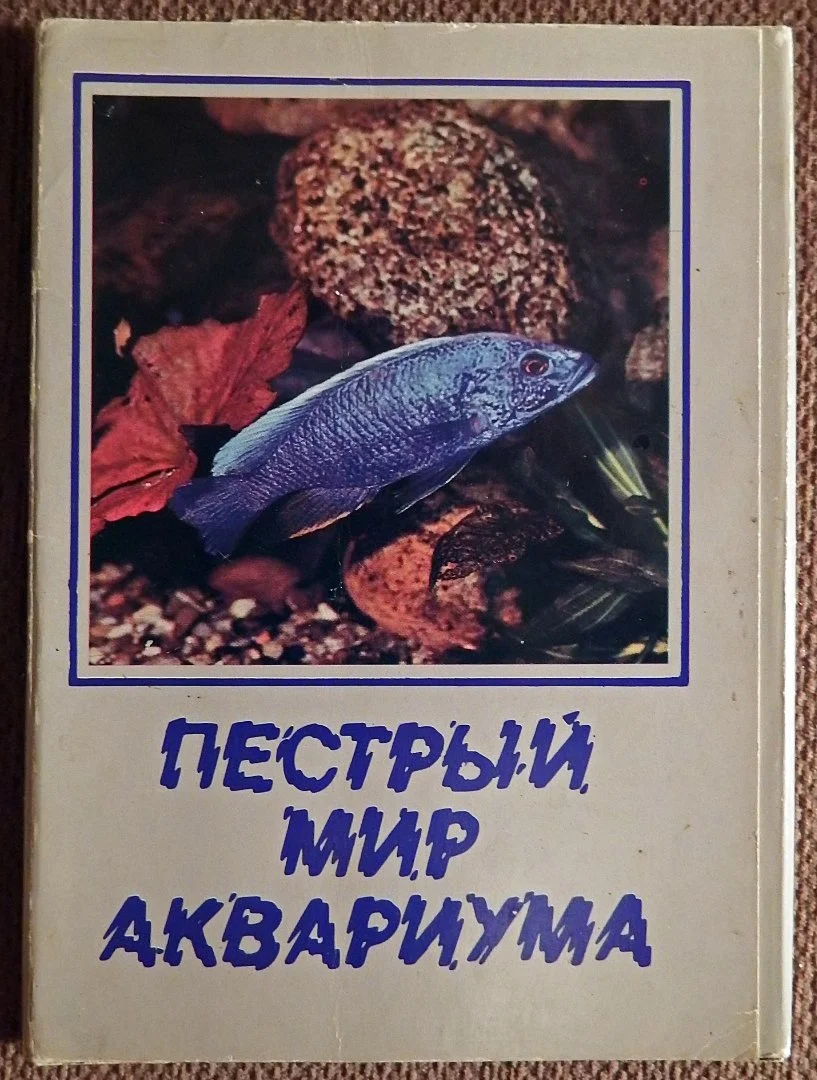 Набор открыток. Пестрый мир аквариума. 1983 год - изображение 1