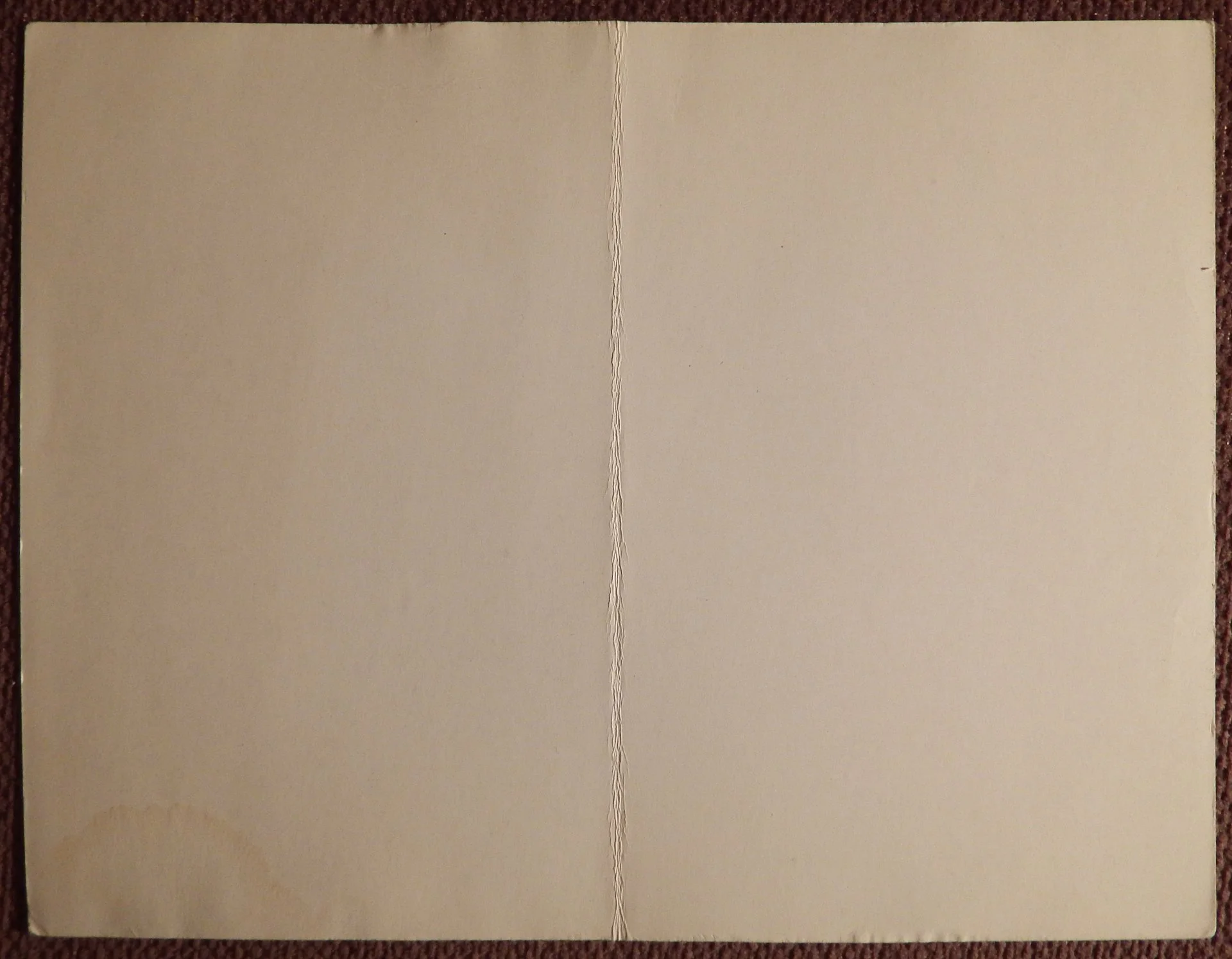Двойная открытка. Худ. Болотовская. 1979 год - миниатюра 2