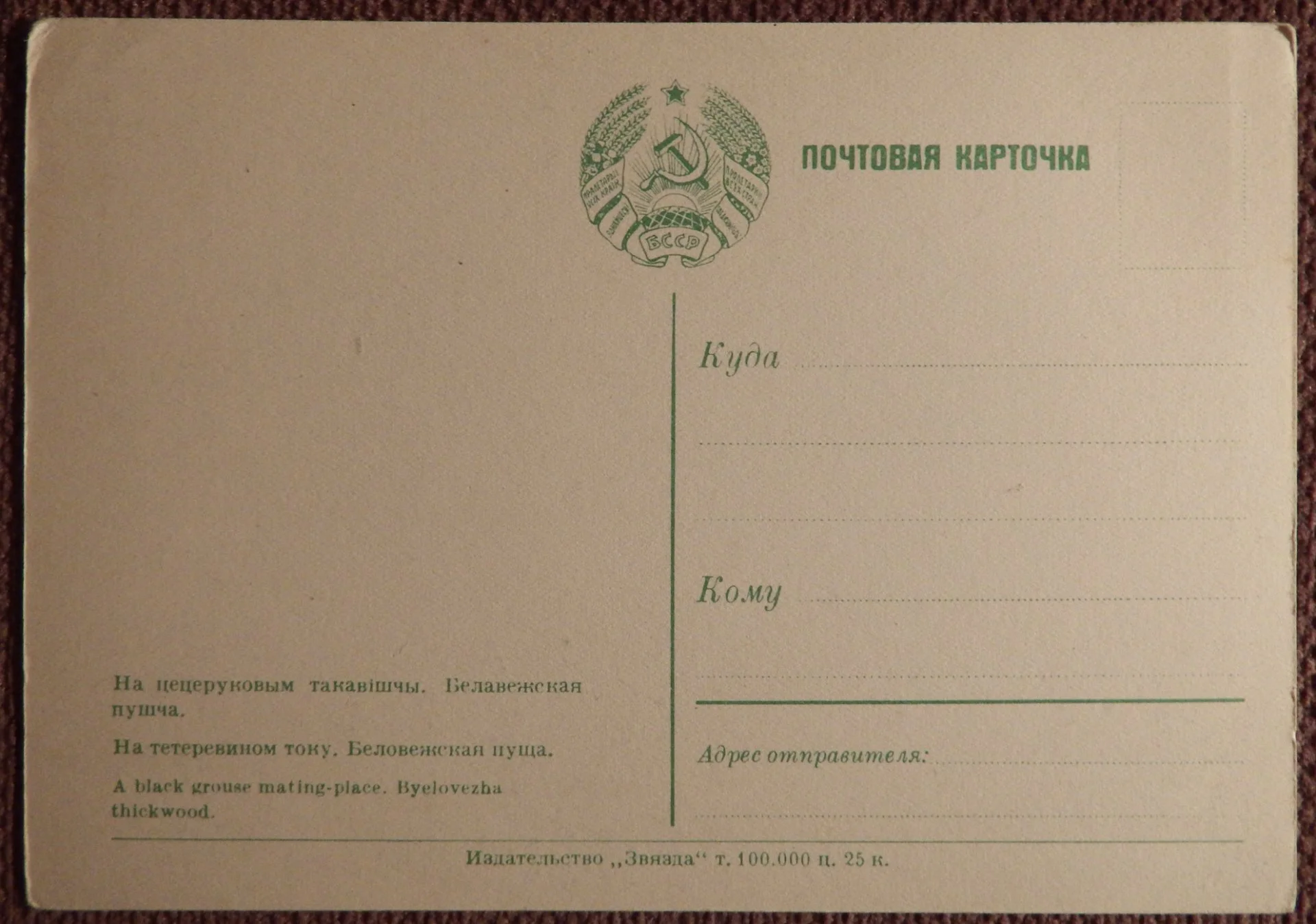 Открытка. Беловежская пуща. На тетеревином току. Тетерев. 1950-е годы - миниатюра 2