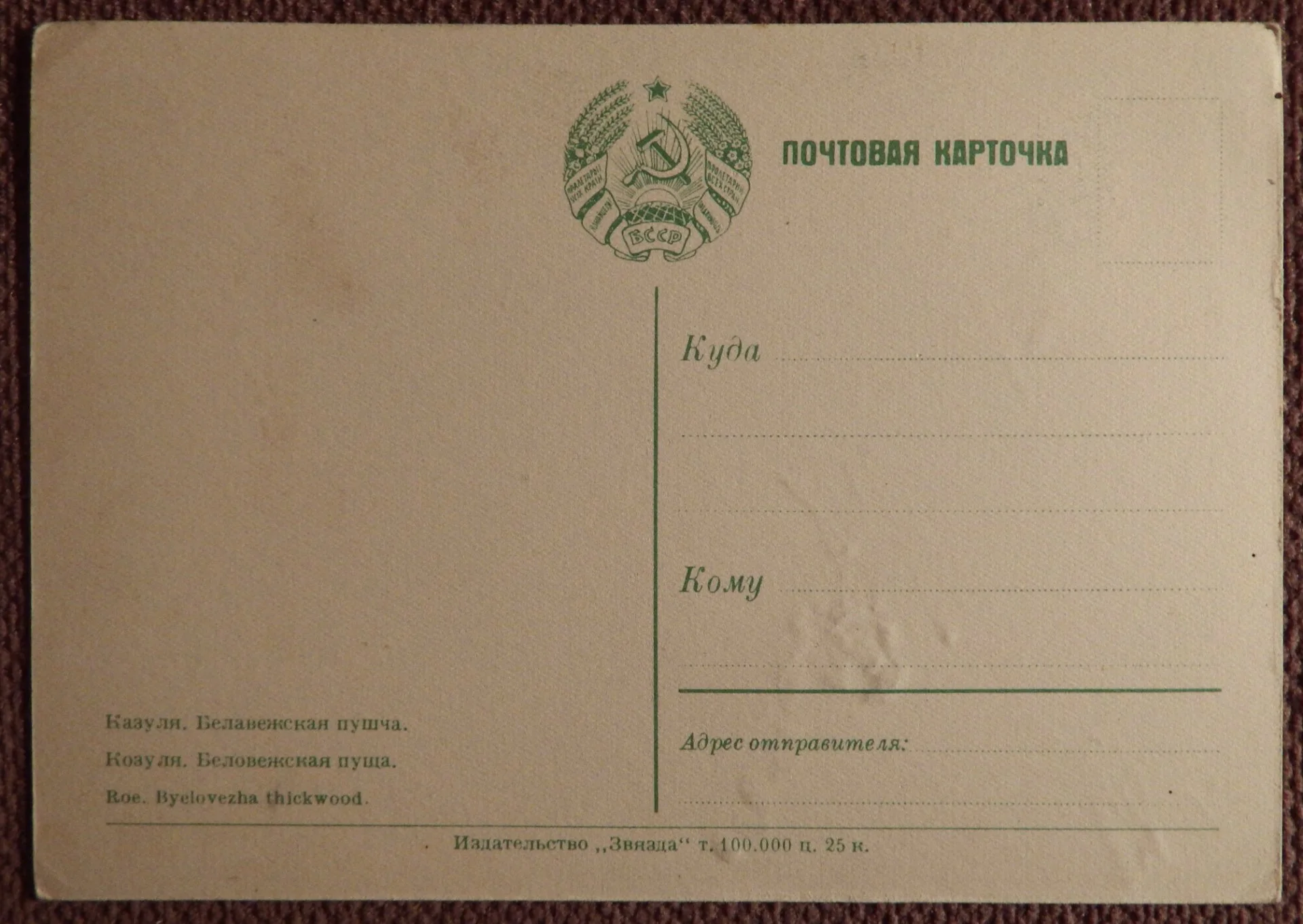 Открытка. Беловежская пуща. Косуля. 1950-е годы - миниатюра 2