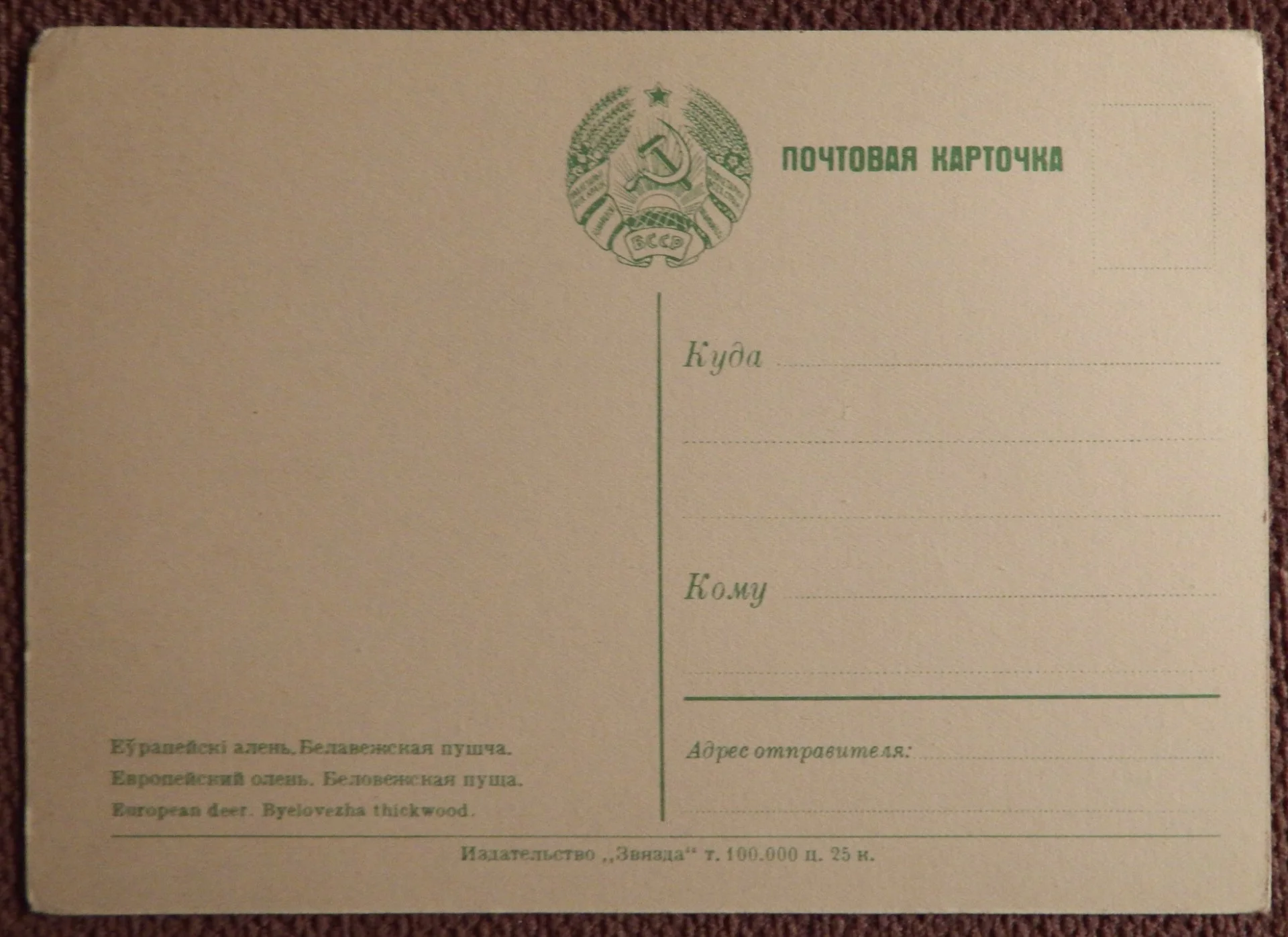 Открытка. Беловежская пуща. Европейский олень. 1950-е годы - миниатюра 2