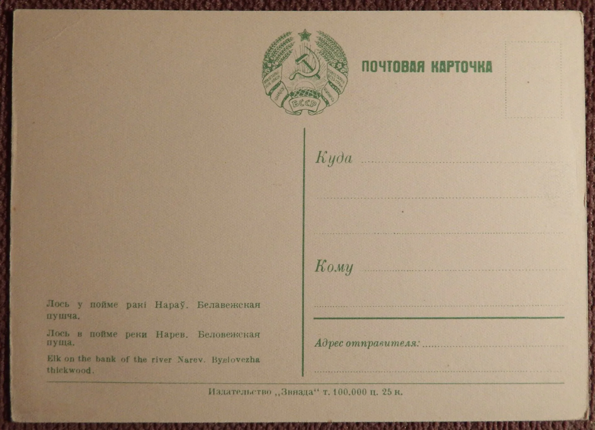 Открытка. Беловежская пуща. Лось в пойме реки Нарев. 1950-е годы - миниатюра 2