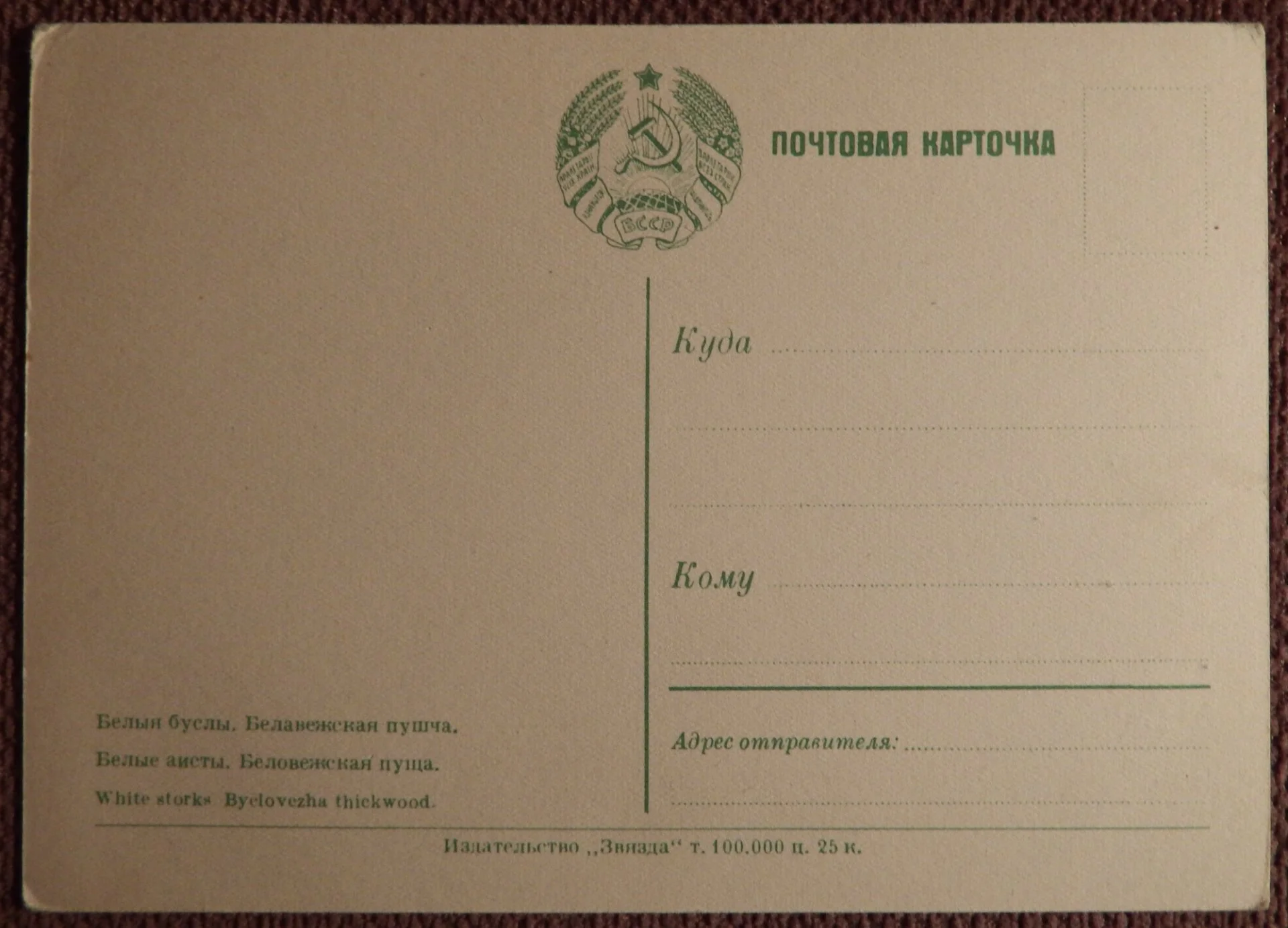 Открытка. Беловежская пуща. Белые аисты. 1950-е годы - миниатюра 2
